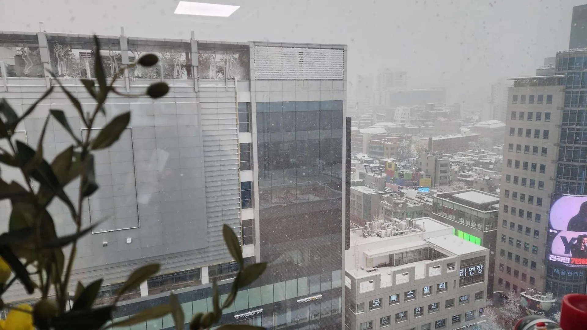 Hongdae City River View 首爾 公寓
